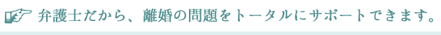 弁護士だから、離婚の問題をトータルにサポートできます。