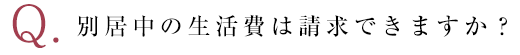 別居中の生活費は請求できますか？